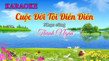 Karaoke Cuộc Đời Tôi Điên Điên