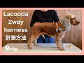 【犬用ハーネス】Lacooda 2way harness 計測方法