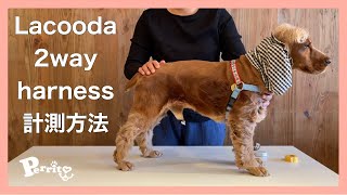 【犬用ハーネス】Lacooda 2way harness 計測方法