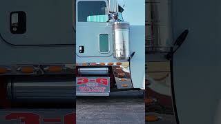 White Peterbilt 389 pulling a cattle pot #peterbilt #longhaultrucker #trucking #bigrigs