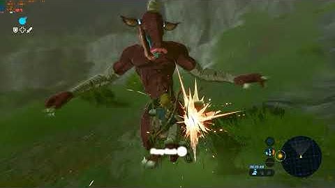 Zelda BOTW 60 FPS (Cemu 1.12.2)