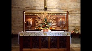 A Thanksgiving Message from St. Thomas | November 25, 2021