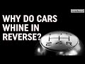 Why do cars whine in reverse  mikes mechanics