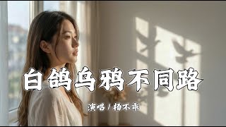 白鸽乌鸦不同路 - 杨不乖「白鸽乌鸦不同路我怎把你留住，和你短暂爱一程又回到了孤独」【動態歌詞/Lyrics】