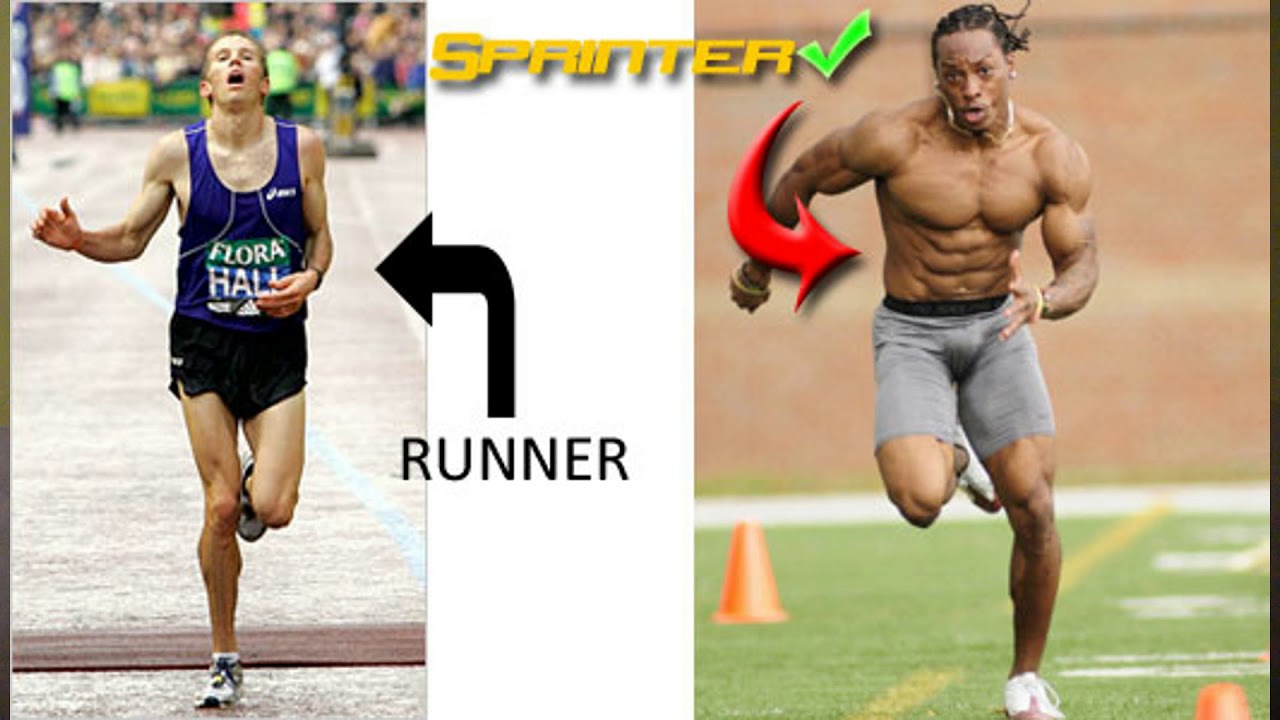 Спринтер и стайер. Спринтер и марафонец. Спринтеры качки. Сравнение спринтера и марафонца. Фигура спринтера и марафонца.
