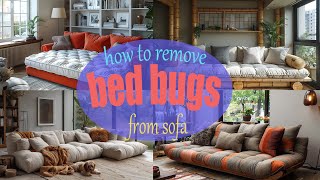 how to remove bed bugs from sofa