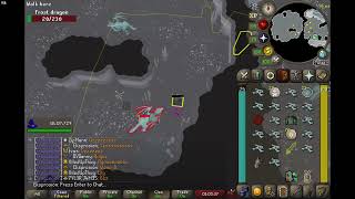 Draconic Visage