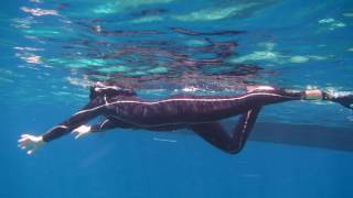 2016-05-15 -- 04 -- Snorkeling @ Gangga Island & Tindila Island