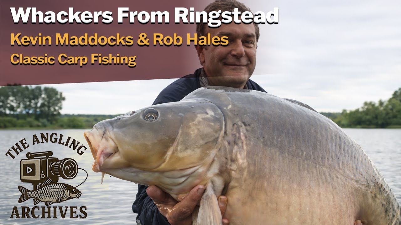Whackers from Ringstead | Classic Big Carp Fishing at Ringstead | Angling Archives