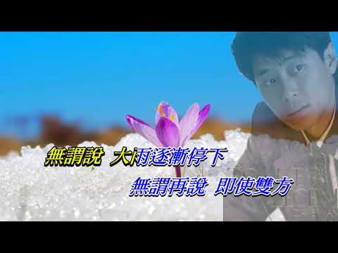 說謊的愛人   王傑〈歌手演唱版〉