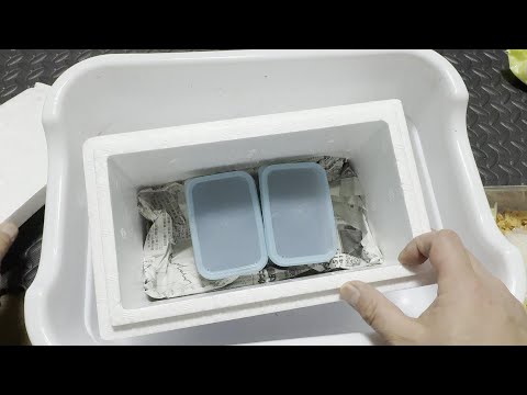 真冬の購入】元業者がタランドゥスオオツヤクワガタを語る - YouTube