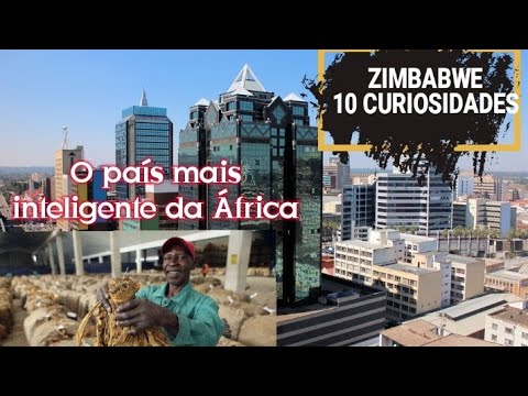 Vídeo: Por Que 50 Toneladas De Marfim Se Acumularam No Zimbábue