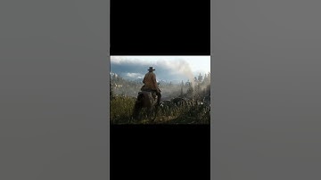 The Best Game Of All Time #rdr2 #shorts
