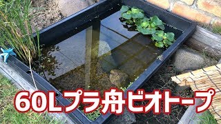 今年3つ目の立ち上げ！　60Lプラ舟ビオトープ