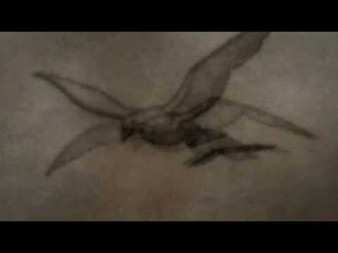 Get Worst Anime Openings For iPhone Free Get Wallpaper Worst Anime Openings For Free