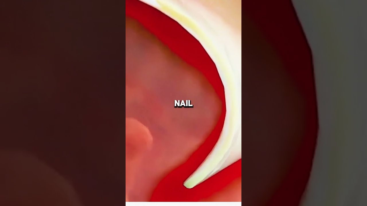How To Cut Your Toenails The Right Way Pt1 Curiosity DidYouKnow FunFacts ExploreTheUnknown