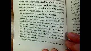 Hatchet Chapter 4