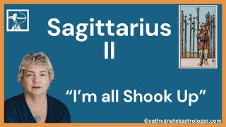 Sagittarius II  36 Decans  Astrology  Tarot  9 of Wands