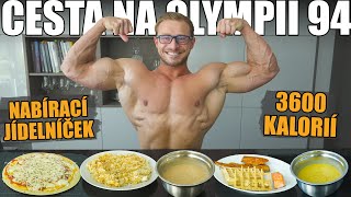 ALEŠOVA CESTA NA OLYMPII 94 | Můj aktuální objemový jídelníček | Čisté nabírání