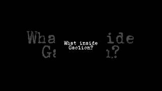 What inside Gaolion?