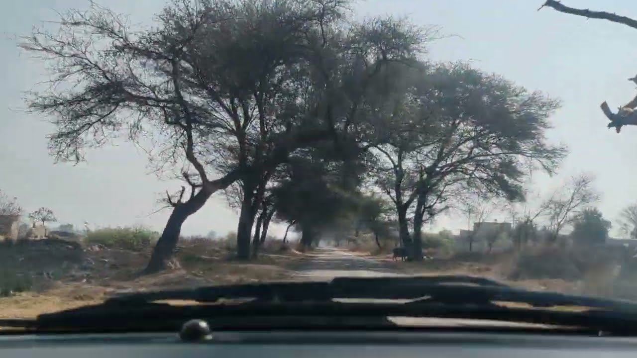 NH-9 पर सामने आया सड़क हादसा 😱 | Silent Car Drive | सुल्तानपुरिया → OHM Cine Garden सिरसा