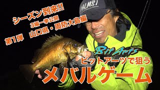 秋のメバル特集 第1弾 周防大島編