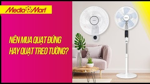 Nên mua quạt đứng hay quạt treo tường - Điện máy MediaMart