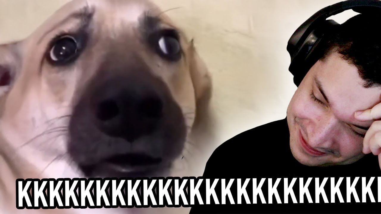 meiaum VENDO MEMES BOBINHOS só pra ficar de boa.