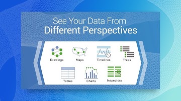 Introduction to Tom Sawyer Perspectives