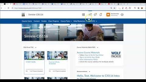 Using Email in Brightspace