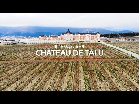 Винодельня Château de Talu (Шато де Талю)