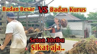 Download lagu Muat buah sawit || skill wanita cantik