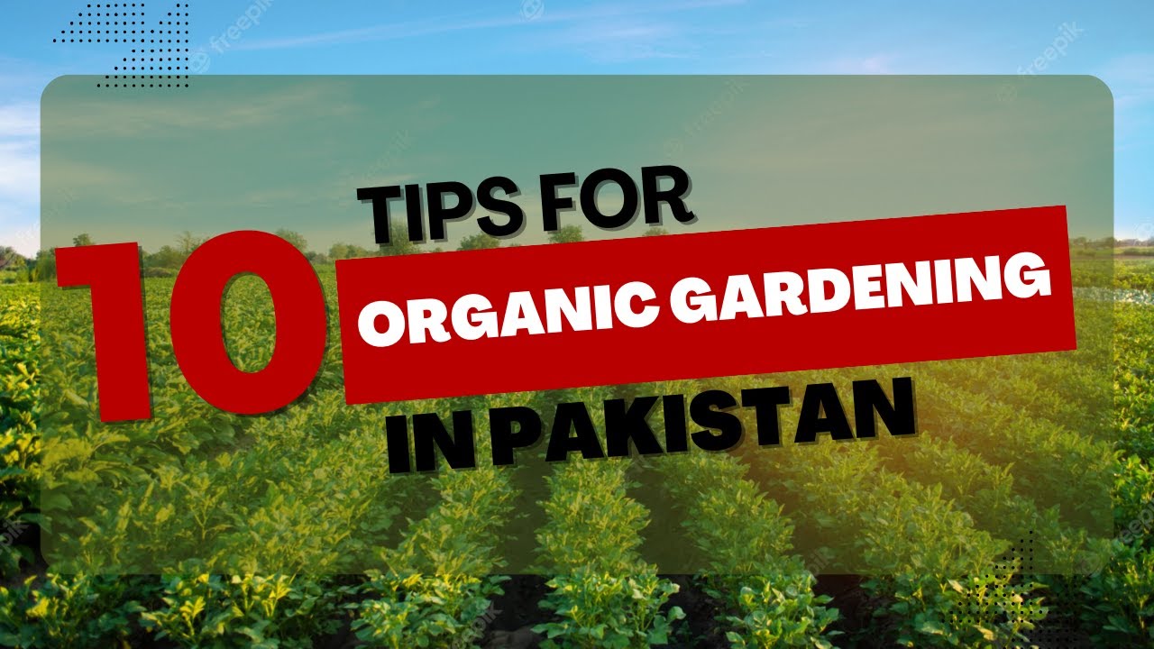 10 Tips for Organic Gardening in Pakistan | Ultimate Guide! #farming #organicfarming #agribusiness