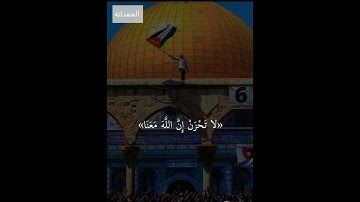 القارئ عبد الرحمن مسعد #تلاوة_هادئة #ارح_قلبك لاتحزن أن الله معنا #لايك القرآن الكريم 🥹🥹🥹