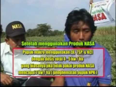 TESTIMONI PADA SEMANGKA ( Call 081360547555 )