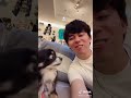 TikTok 愛犬の横で肉食ってみる