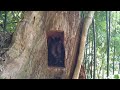 3 years building a house in the woods alone / Núi Rừng Vùng Cao