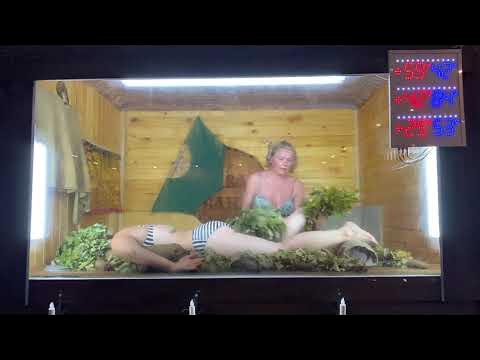 Александр Батальцев. Чемпионат УрФО. 08.06.2019 //Живая Баня Иван Бояринцев Yo