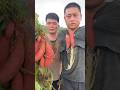 Cuộc sống thật không dễ dàng p541 #shorts
