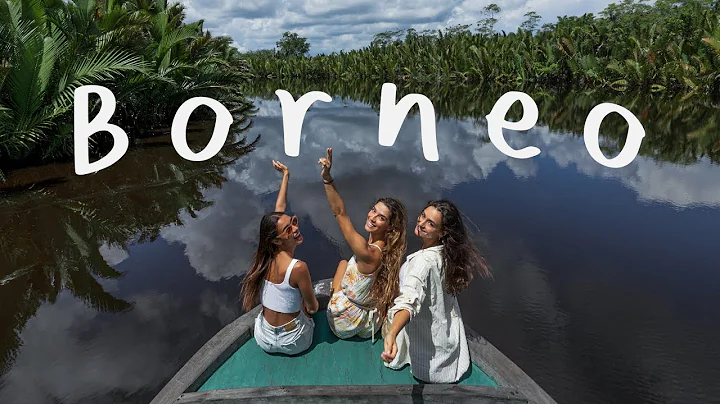 Borneo Adventure Gone Wrong: Orangutans steal our ...