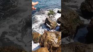 Pesca En Espigón Con Jig De 10 G