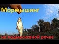 Мормышинг на малой подмосковной речке