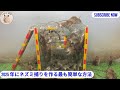 2025 年にネズミ捕りを作る最も簡単な方法 | The simplest way to make a mouse trap in 2025