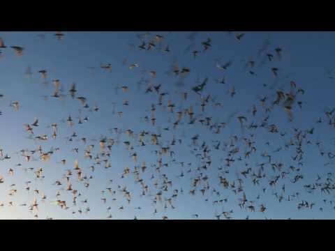 Rio Frio Bat Cave 3