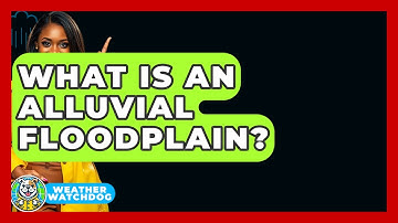 What Is An Alluvial Floodplain? - Weather Watchdog