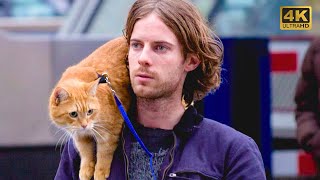 This Homeless man's life changes dramatically after he found a ginger Cat! A real story!