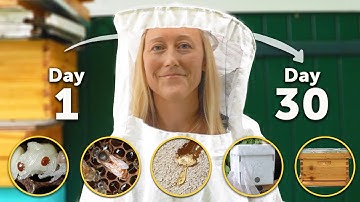 YOUR FIRST MONTH AS A BEEKEEPER | Feeding, Transporting, & Caring for Your Bees