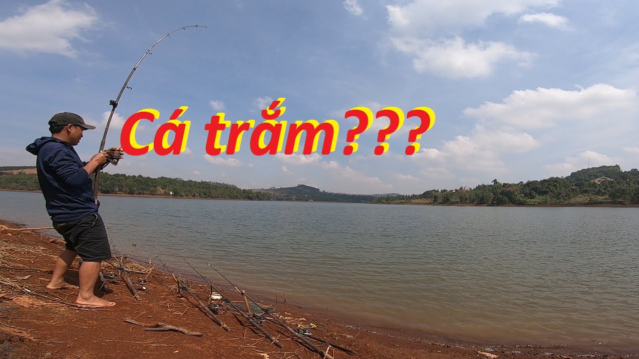 Câu lăng xê cá chép tự nhiên hồ T2 - Gặp cần thủ Chinh Kaka sát cá... | 3-2025