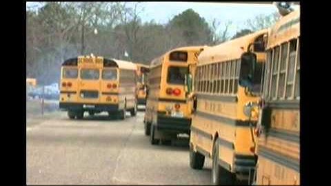 Dr. Nancy Blackwelder; www.safebus.org