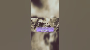 AI Predicts: How Could World War 3 Begin? #worldwar3 #future #ai #warandpeace #predictions #peoples